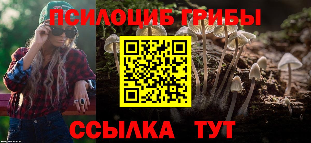 Екатеринбург  закладки  Вход с VPN  Галлюциногенные грибы MAGIC MUSHROOMS 